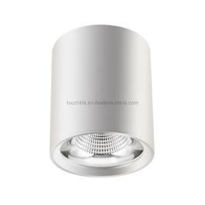 Quality Goods Surface Mounted COB LED Downlight, LED Spotlight