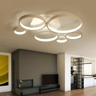Modern Indoor LED Ceiling Lamp for Bedroom, Living Room