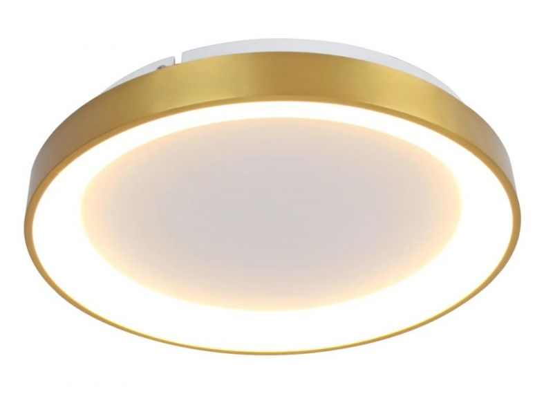Masivel Factory 36W/48W/60W/80W/100W New Design Bedroom Ceiling Mounted LED Ceiling Light with Spangle