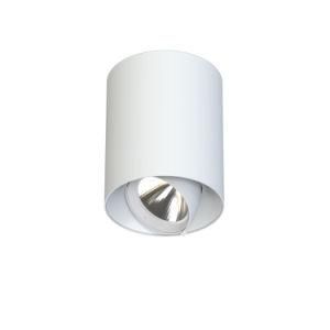 12W/25W/35W CRI90 Beam Angle 15 Degree Surface Spotlight COB for Apparel Stores LED Downlight