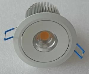 SAA Certificated LED Ceiling Light Bridgelux Chip 12W Down Light