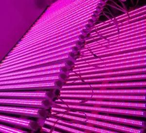 High Brightness 0.9m 22W T8 Integrated Tube LED Grow Light