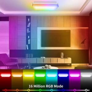 Speaker Voice Control CCT Brightness Dimmable 30W Flush Mount LED Smart Ceiling Light for Living Room Bathroom Bedroom Kitchen
