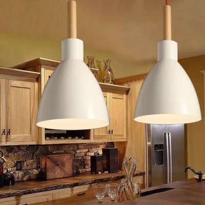 60 Watt Modern Elegance Hanging Lamp Metal Lighting Pendant