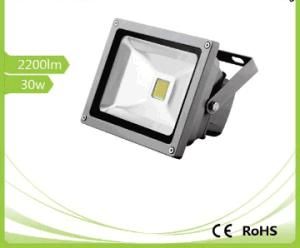 LED Flood Light 30W/2200lm