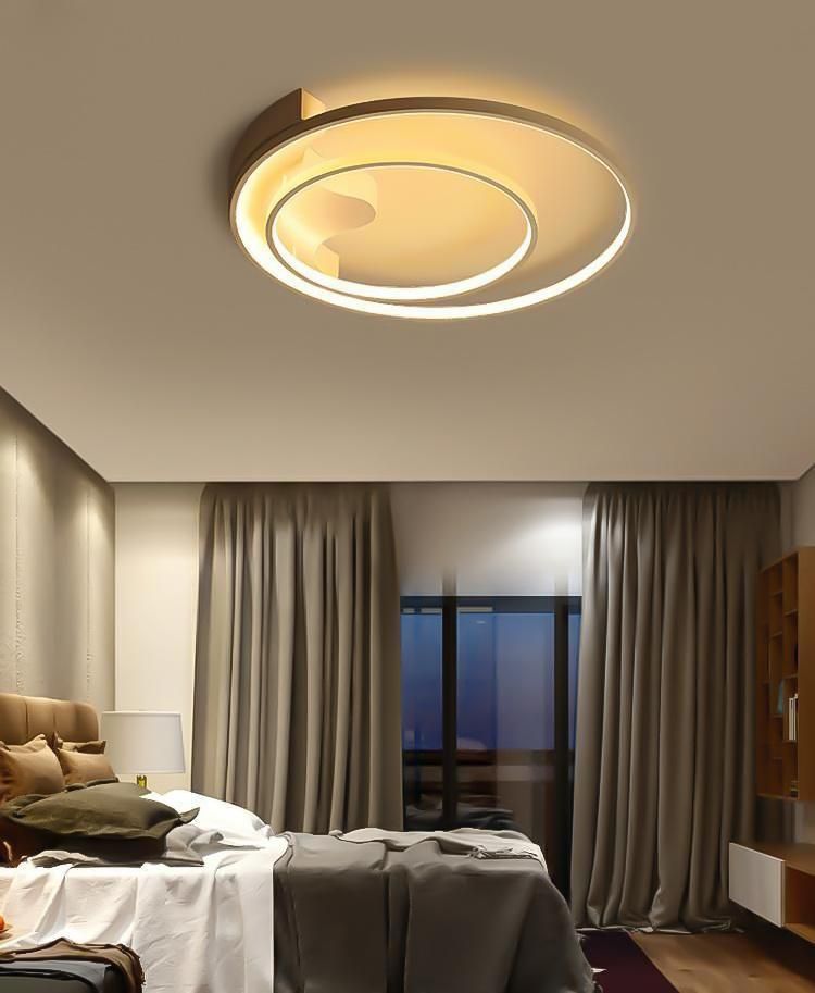 Aluminium Modern Decorative LED Ceiling Lamp Lighting for Living Room and Kitchen with LED Circle 2 Rings