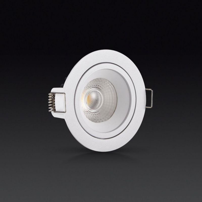 Module 6 Frame Changeable COB LED 6W10W LED Spot Light