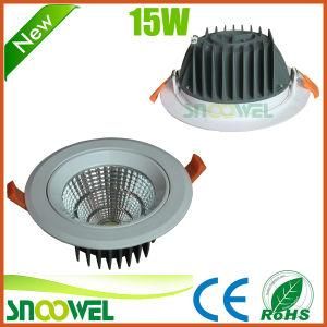 Adjustable Powerful 15 Watt LED Downlights