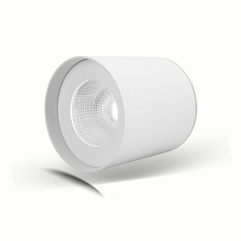 Waterproof LED Surface Mounted Downlight Ceiling Light Cylindrical Down Light