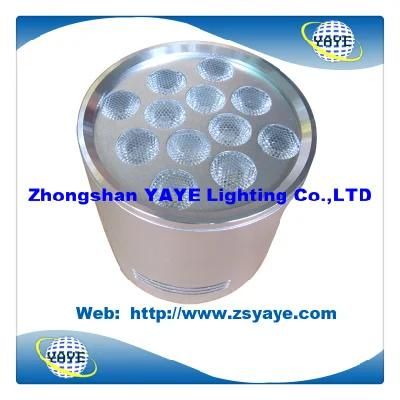 Yaye Hot Sell 12W Surface Mounted Downlight / 12W Surface Mounted LED Down Lamp (YAYE-LDSM12W12)