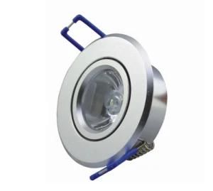1W LED Lamp Down Spot (RM-TH0044)