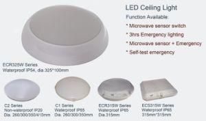 LED Ceiling Light