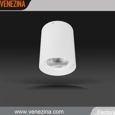 High Power 20W COB LED Ceiling Lamp Surface Mounted LED Light