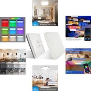 Remote Control Smart APP WiFi 2.4G Surface Mounted LED Google Ceiling Light IP54 30W Rgbcw Dimmable Voice Control