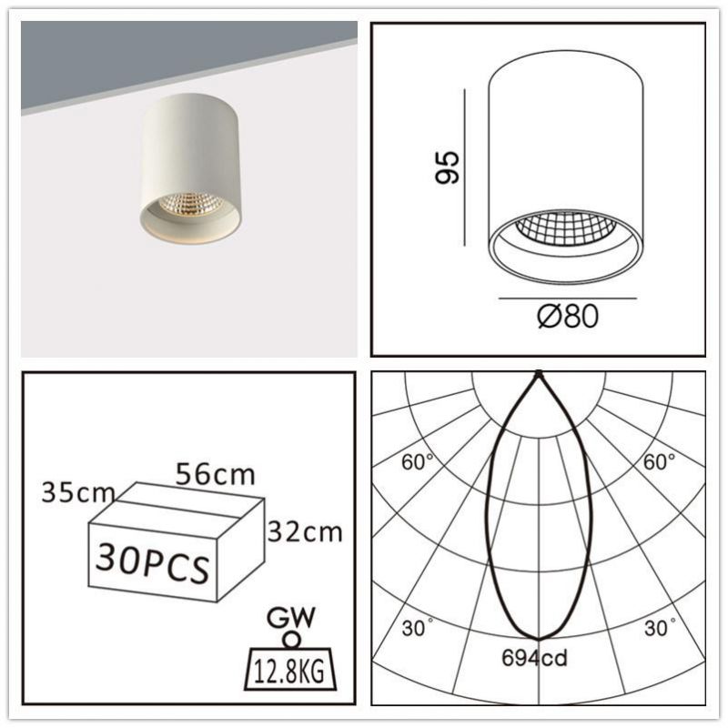 Cylinder Professional Chinese Manufacturer Produced Surface-Mounted LED Light
