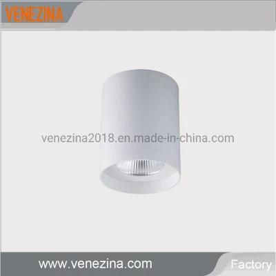 20W 25W COB LED Downlight LED Ceiling Light LED Spot Light LED Light LED Down Light