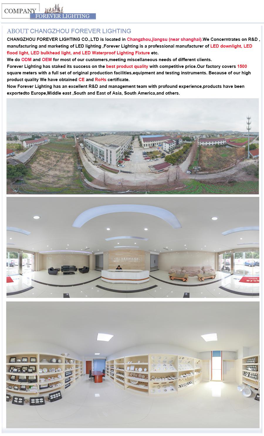 LED Decorated 10W 20W 30W Track Light White Spot Light