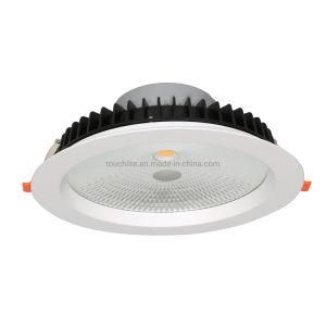 IP55 15W 20W 30W High Brightness COB LED Downlight