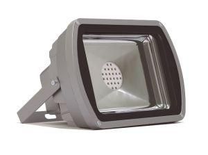 IP65 Outdoor Aluminum Lamp Housing 50W LED Spotlight