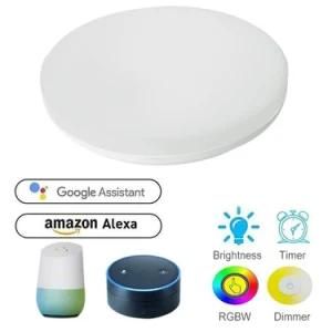 Iluminaci&oacute; N De Techo Con Alexa Google Home LED Ceiling Lights