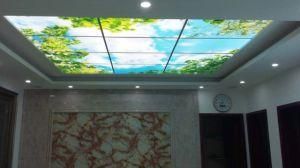 Mood Panel Light Ce RoHS LED Flat Panel Light 600*600 Scene Panel Light