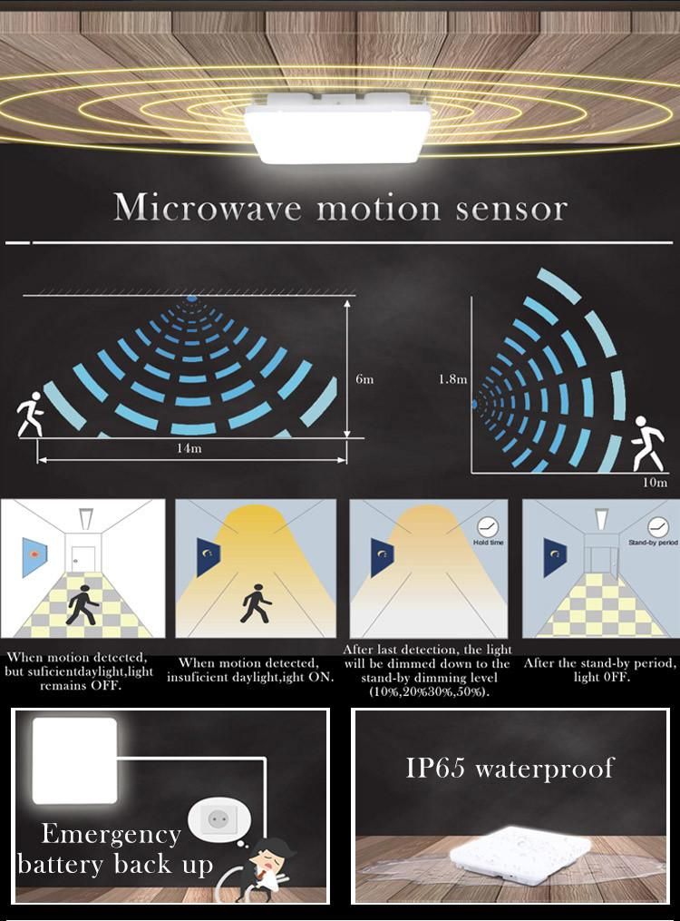 IP65 Indoor Dimming Sensor Hallway LED Ceiling Light