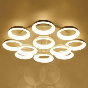 Circle LED Ceiling Light Contemporary Home Lighting for Living Room Bedsroom