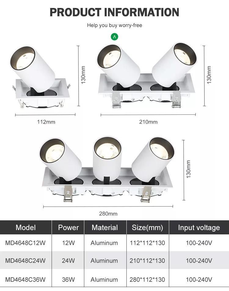 Modern Indoor Lighting White Aluminum Decoration Double Head LED Downlight