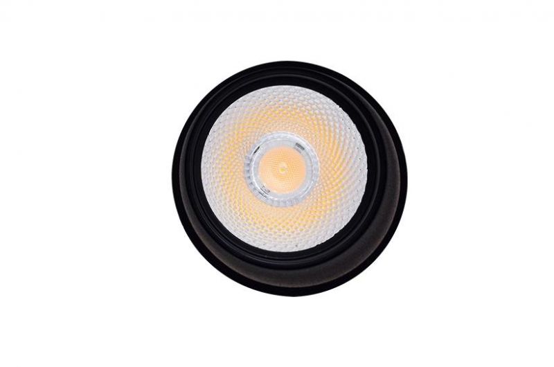 Hot Sale LED 30W Pendant Lamp for Store Ce Certificated