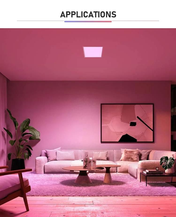 Used Widely Advanced Design Cx Lighting Multi-Function Brilliant Smart Downlight