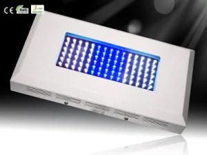 90W High Power LED Aquarium Light