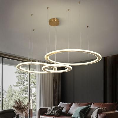 Modern Living Room Circular Duplex Staircase Ceiling Lights Decorative LED Chandelier Lamp for Living Room