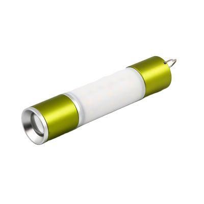 Multiple Direction Recharge Portable and Suspensible Flashlight