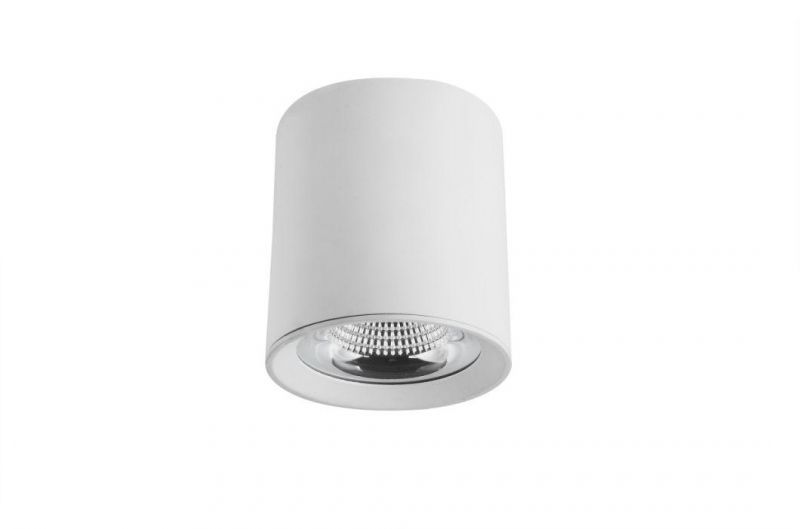 Hot Sale LED CREE Chip 15W Downlight for Living Room RoHS Ce