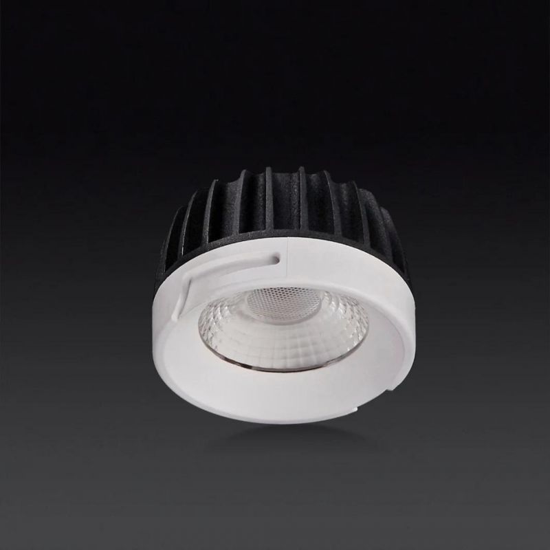 Modern Design Pinhole Fixed COB LED 6W10W LED Downlight