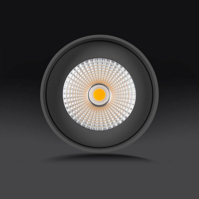 IP65 Outdoor LED Light High Waterproof Surface Mounted LED Downlight COB Light