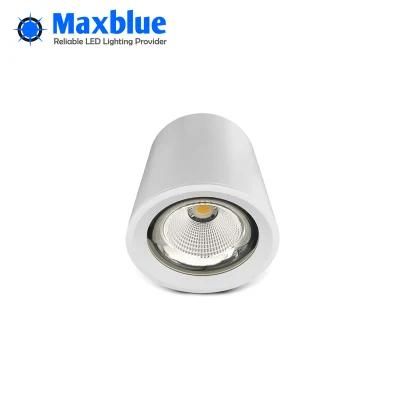 25W/30W LED COB Surface Mounted Downlight White/Black Housing LED Lighting