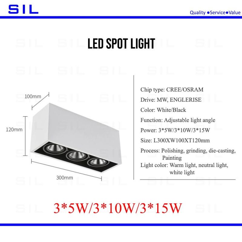 Ceiling Recessed Commercial Downlight Square 2X15W Spotlight LED Spot Light