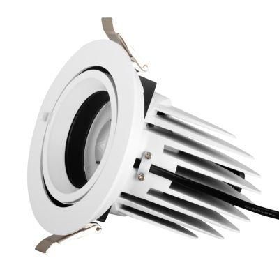 Cylinder Elephant Gimbal LED Downlight 30W Adjustable Ceiling Downlight LED