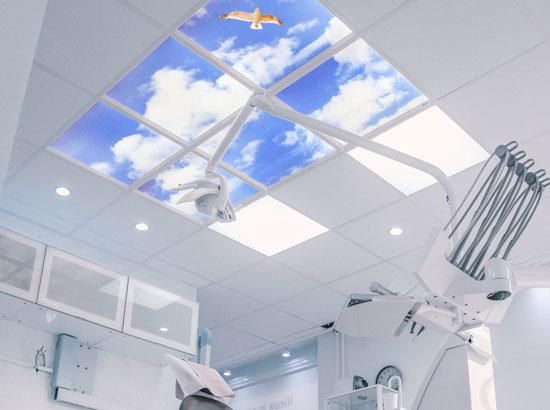 Skylight LED Panel Light for Health Center Medical Center