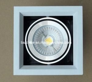 1X10W, 2X10W, 3X10W COB LED Grill Downlight