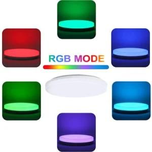 Easy Installation IP54 Waterproof RGB Color Changing Color Temperature Tunable 30W Smart Light Flush Mount Ceiling Lamp