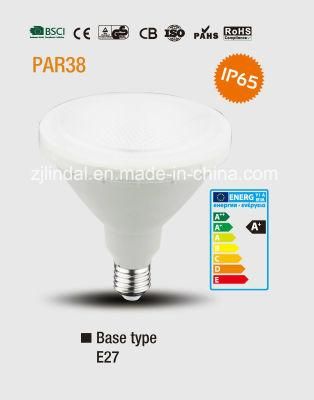 PAR38 Waterproof LED Bulb