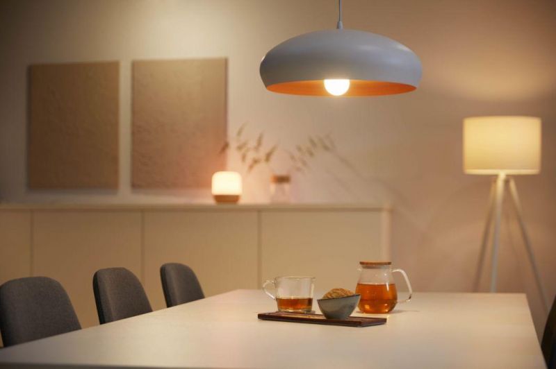 LED Global Bulb A60 6W/8W/10W Frosted Matte Glass LED Vintage Bulb Home Decoration LED Filament Lamp for Indoor Lighting CE RoHS ERP Approval