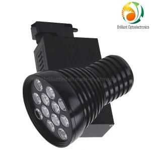 12W LED High Power Track Spot Light with CE and RoHS (XYGD009)
