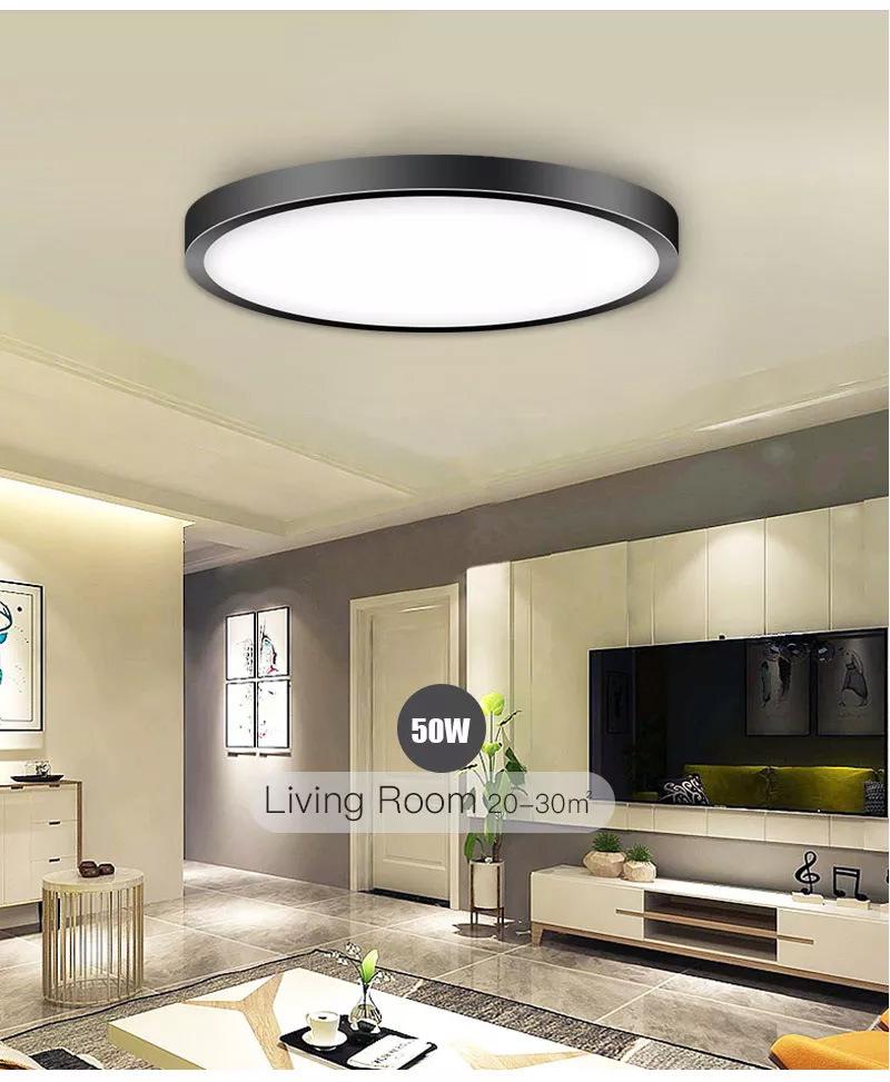 Modern Surface Mounted Bedroom Living Room Home Lighting Round Pink Black LED Ceiling Lamp LED Ceiling Light