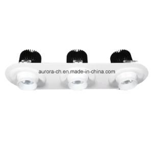 Three Head CREE Chip Commercial Application LED Downlight (S-D0030-T)