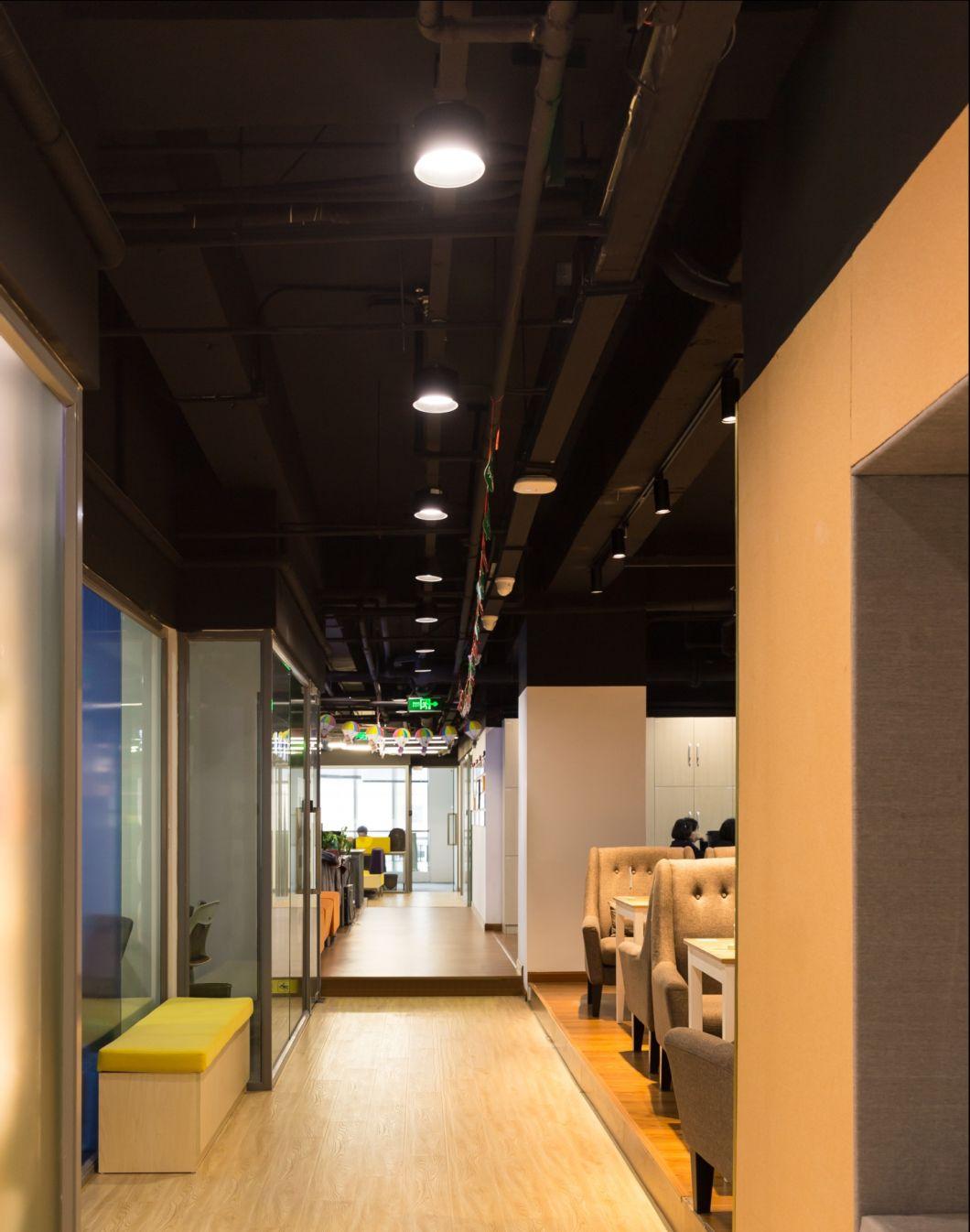 20W/25W/30wcree/Citizen COB LED Ceiling Down Light