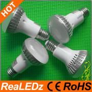 Powerful 12W High Intensity LED Bulbs