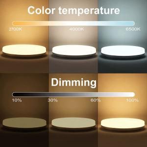 Smart LED Color Changing Surface Mount Ceiling Lighting